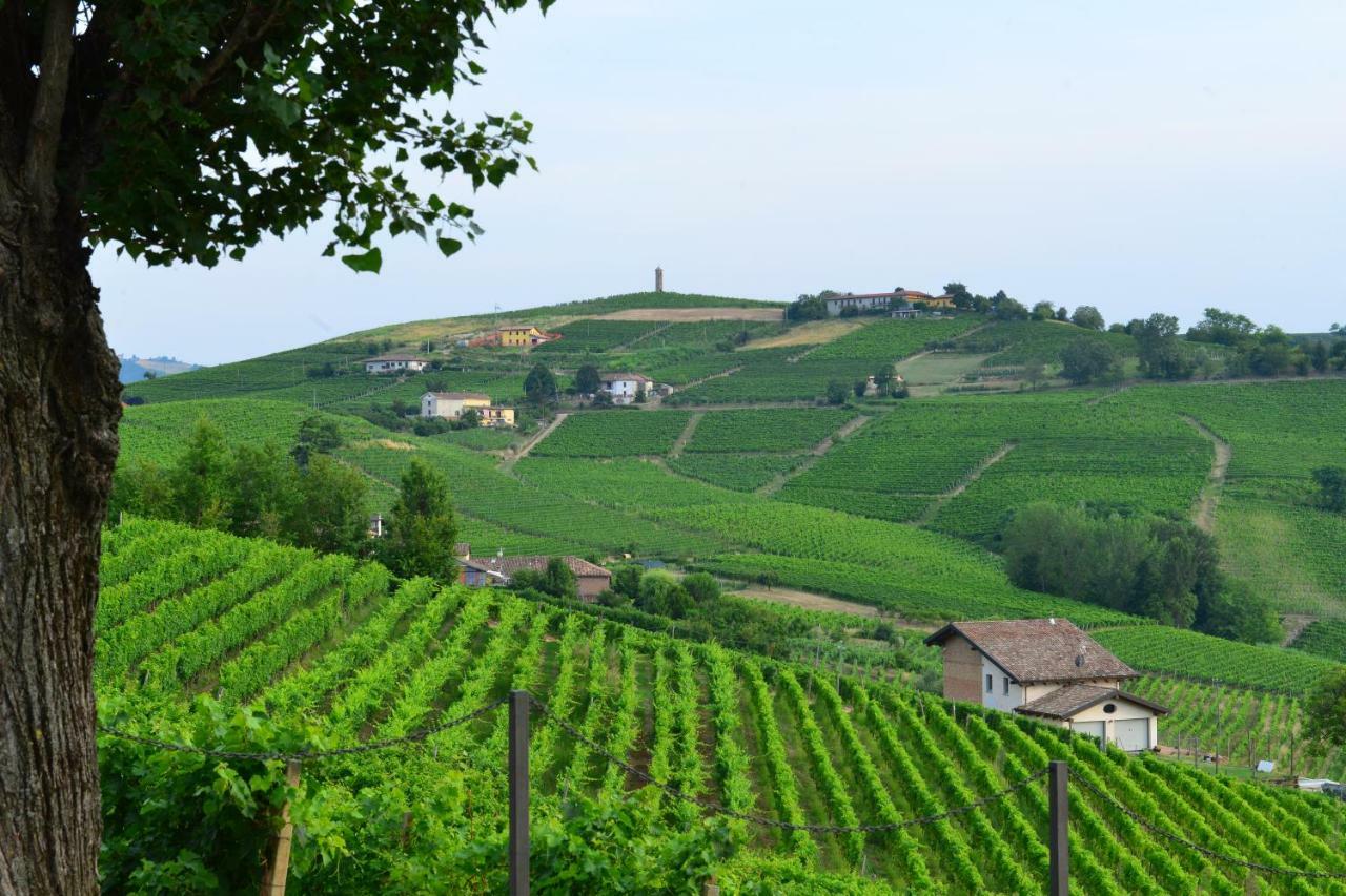 I Grappoli Villa Canelli Exteriör bild
