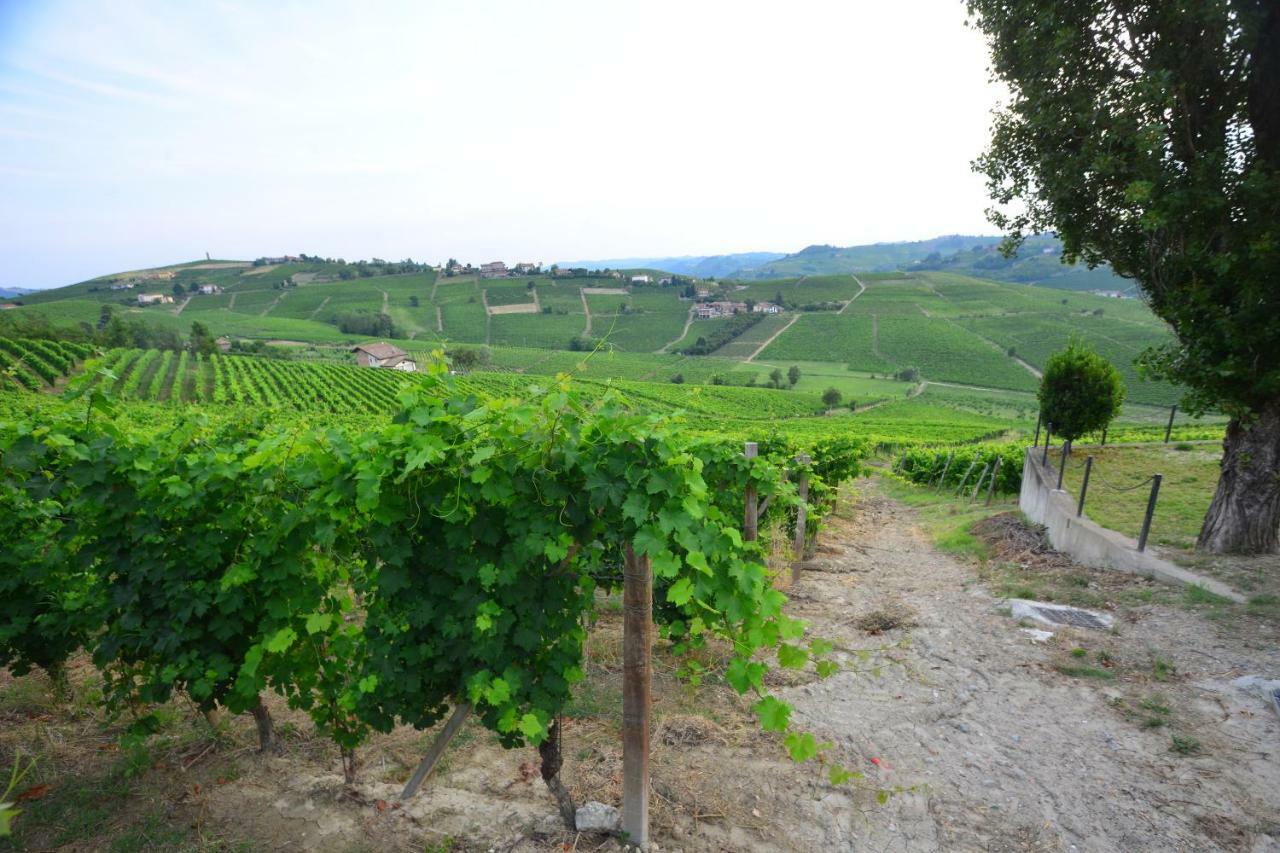 I Grappoli Villa Canelli Exteriör bild